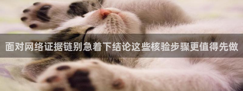 51吃瓜热门榜:面对网络证据链别急着下结论这些核验步骤更值得先做