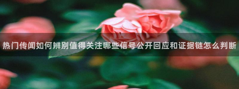 51吃瓜事件内容:热门传闻如何辨别值得关注哪些信号公开回应和证据链怎么判断